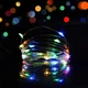 Светодиодная гирлянда на батарейках RD-302, 10 метров, 100 LED, разные цвета - изображение 5