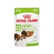 Вологий корм для собак Royal Canin X-Small Adult pouch 85 г - зображення 1