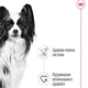 Вологий корм для собак Royal Canin X-Small Adult pouch 85 г - зображення 2