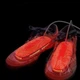 Электрическая сушилка для обуви SHOE DRYER универсальная портативная сушка для ботинок кроссовок сапог - изображение 2