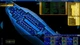 Доповнення Starship Corporation: Cruise Ships для ПК (Ключ активації Steam) - изображение 3
