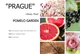 Аромадиффузор парфумований Kot'e PRAGUE Pomelo Garden 100 мл. - зображення 3