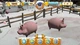 Гра My Farm для ПК (Ключ активації Steam) - изображение 4