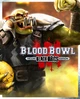 Гра Blood Bowl 3 - Black Orcs Edition для ПК (Ключ активації Steam) - изображение 1