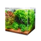 Аквариум из ультрабелого стекла Dupla Scaping Cube 80 45x45x40см (80892) - изображение 5