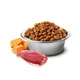 Сухий корм Farmina N&D Pumpkin Duck&Cantaloupe для котів з качкою та гарбузом 300 г (8010276035356) - зображення 4