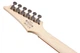 Електрогітара IBANEZ RG421PB CHF (230535) - изображение 7
