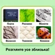 Микроскоп Портативный цифровой Rivgot с экраном Macro IPS Коричневой - изображение 4