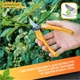 Секатор Gruntek Ibis (295185011) - изображение 7