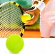 Набор мячей для большого тенниса Newt SWDN Tennis Ball NE-TT-12 12 шт в чехле - изображение 3