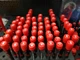 Тонкая микро отвертка T5 х 40 мм TORX® PicoFinish Wiha 42478 - изображение 6