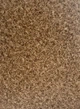 Линолеум Lentex Orion 466-06 ширина 4.0 м - изображение 1