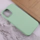 Чохол Silicone case (AAA) full with Magsafe and Animation для Apple iPhone 12 Pro Max (6.7") Зеленый / Pistachio - изображение 7