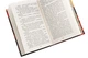 Книга Коти-вояки. Нове пророцтво. Книга 6. Захід (978-617-7661-51-0) - изображение 6