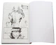 Книга Радіант. Том 1 (978-617-7678-48-8) - изображение 4