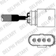 ES10981-12B1 Delphi Лямбда зонд VW Caddy II/Golf IV/Skoda Octavia I/Seat Ibiza 1.0-2.3 93-10 Delphi (ES1098112B1) - зображення 1