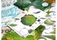 Настільна гра Games 7 Days Evergreen. Зелена планета (Evergreen) (укр.) (EVG001UA) - зображення 7