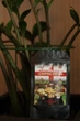 Морська сіль з прянощами "Сонячне Батумі" 100 г - зображення 7