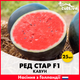 Арбуз Ред Стар F1, 25 шт, Голландия - изображение 1