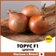 Лук Sakata Seed Corporation Торус F1, 200 шт - изображение 1