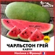 Арбуз Чарльстон Грей F1, 100шт, Семена из Франции - изображение 1