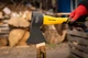 Сокира Mastertool 1000 г HRC 50, рукоятка фібергласова 370 мм (05-0906) - зображення 5