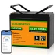 Аккумулятор ECO-WORTHY LiFePO4 12.8V 100ah с Bluetooth и защитой от низких температур - изображение 1