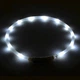 Светящийся аккумуляторный ошейник для собак / котов Light It с 3 режимами работы и зарядкой USB, размер M (50 см), белый "G" (92769060) - изображение 2