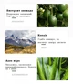 Маска для глибокого очищення шкіри обличчя з екстрактом авокадо Bioaqua Avocado Deep Cleansing Mud Film 8шт*7,5г - зображення 7