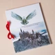 Адвент календар Гаррі Поттер на 31 день. Адвент календар Harry Potter. Адвент календар с Гаррі Поттером - зображення 10