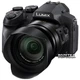 Фотоаппарат Panasonic Lumix DMC-FZ300 (DMC-FZ300EEK) - изображение 3