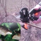 Прищепний секатор для рослин - изображение 8