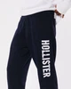 Мужские спортивные штаны Hollister HC9440M L Темно-синий - изображение 4