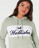 Женское худи - худи Hollister HC9768W S Светло-зеленый - изображение 3