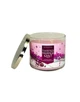 Ароматична свічка Bath & Body Works TWISTED PEPPERMINT Bath and Body Works BBW0146W 411 р Рожевий - зображення 2