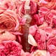 Тонік для обличчя Fresh Rose Deep Hydration Toner (Various Sizes) (12128124) - зображення 4