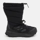Женские дутики с мехом Adidas Terrex Winter Boot High C.Rdy ID2889 36 (3.5UK) 22.2 см Terrex Winter Boot Cblack/Cblack/Cblack (4066765919014) - изображение 1