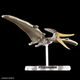 Model do składania Bandai Plannosaurus Pteranodon (4573102662828) - obraz 5