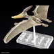 Model do składania Bandai Plannosaurus Pteranodon (4573102662828) - obraz 7