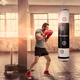 Боксерский мешок inSPORTline Robkin 40 кг черно-белый, синтетическая кожа, стальное кольцо, печатные мишени, для дома(ISL_45B64FF70279) - изображение 3