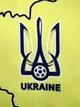Футбольна форма дитяча Lion Zinchenko (Зінченко) 17 збірної України 24/25, розмір 16 на зріст 95-105 см, жовта (TNC-17-2-16) - зображення 7