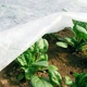 Агроволокно Bradas 50 г/м² зимнее 1.1 х 5 м Белое (AWW5011005) - изображение 2