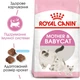 Сухой корм Royal Canin MOTHER & BABYCAT для кошек в период лактации и новорожденных котят 4 кг (3182550707329) - изображение 2