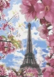 Картина за номерами "Квітучий Париж" Riviera Blanca 28x40 см RB-0164 - зображення 4
