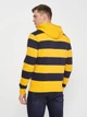 Худі GANT Barstripe Heavy Rugger 2005044 Ivy Gold 2XL - зображення 3
