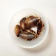 Аргентинські таргани ( Blaptica Dubia ) - Живі кормові комахи для рептилій, птахів, їжаків, комахоїдних тварин 2-3 см 50 шт. - зображення 3
