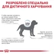 Сухий корм для собак Royal Canin Hypoallergenic Puppy 1,5 кг - зображення 4