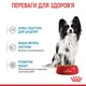 Вологий корм для цуценят Royal Canin X-Small Puppy pouch 85 г - зображення 3