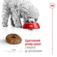 Сухий корм для літніх собак малих пород Royal Canin Mini Ageing 12+, 800 г - свійський птах - зображення 3