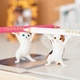 Держатель для аксессуаров BeCover Cute Cat Плямка White/Brown (BC_712117) - изображение 6